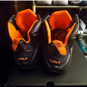 Lebron 12 ep instinct